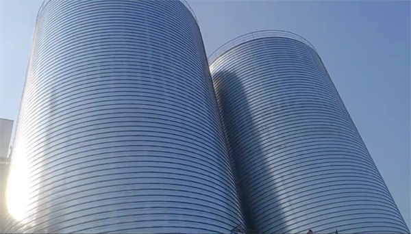 陆河2座混凝土高架卷板仓